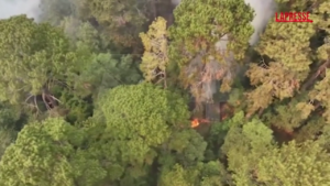 Messico, vasti incendi nel Paese