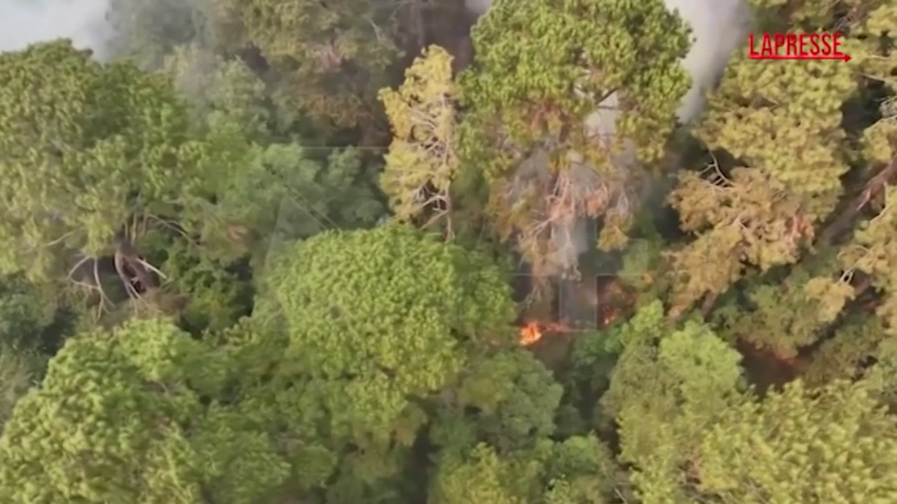 Messico, vasti incendi nel Paese Messico, vasti incendi nel Paese