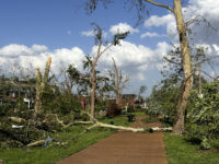 Alberi sradicati a St. Louis dopo le tempeste che venerdì hanno colpito Missouri e Kentucky negli Usa
