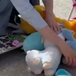 Gaza, delegazione italiana a Rafah deposita giocattoli per bimbi palestinesi