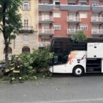 Torino, bus contro un albero: le immagini dell’incidente