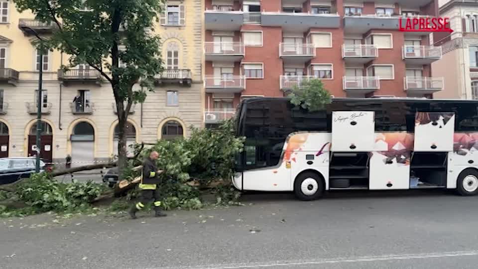 Torino, bus contro un albero: le immagini dell’incidente Torino, bus contro un albero: le immagini dell’incidente