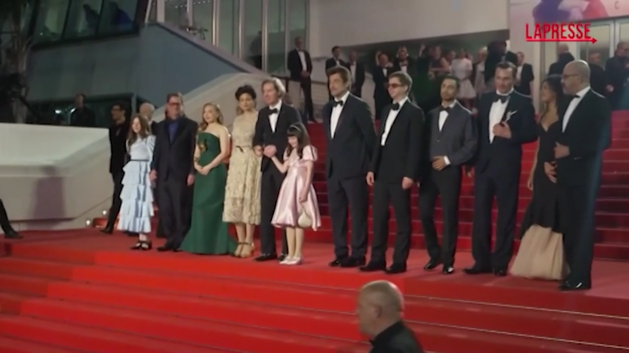 Cannes 2025, star sul red carpet da Benicio del Toro a Nicole Kidman Cannes 2025, star sul red carpet da Benicio del Toro a Nicole Kidman