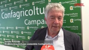 Napoli, Confagricoltura presenta il Primo rapporto Agroenergie