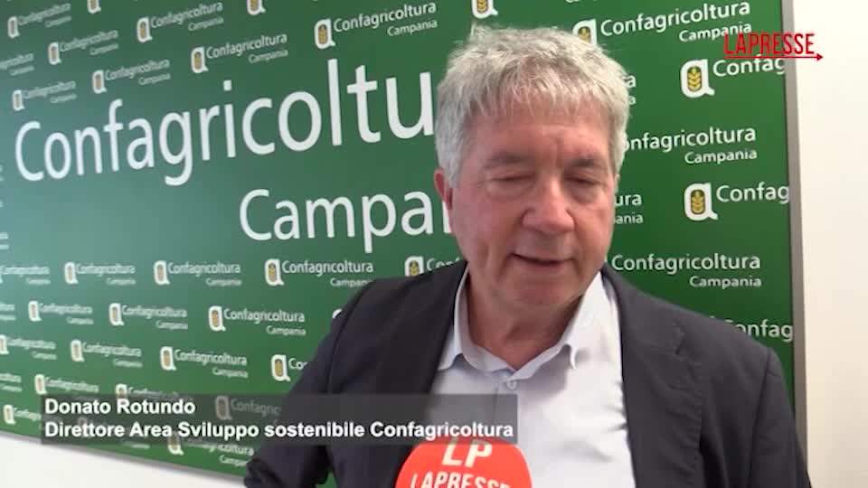 napoli confagricoltura presenta il primo rapporto agroenergie