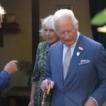 Royal Family, Re Carlo e Camilla tra i fiori di Londra