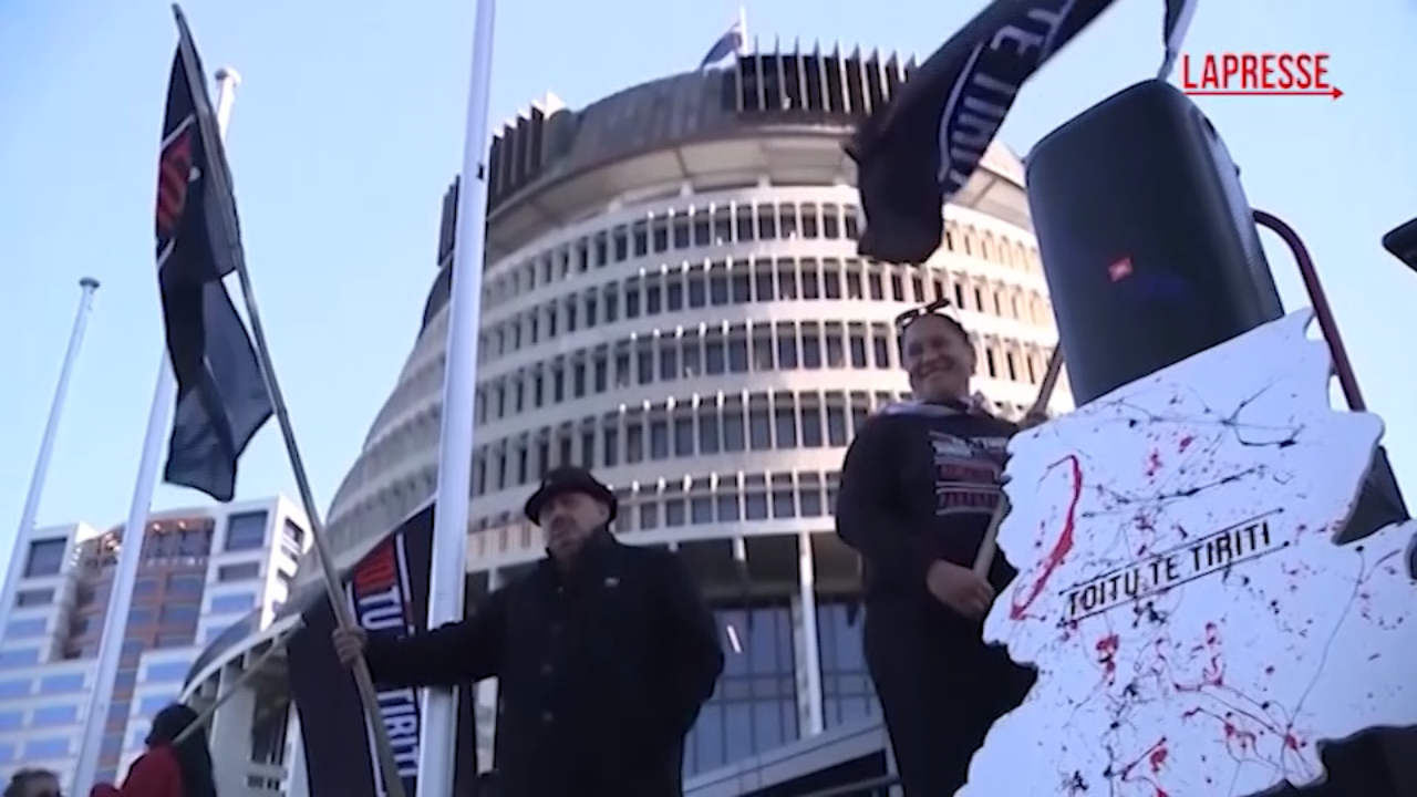nuova zelanda protesta davanti al parlamento che vuole bandire i rappresentanti maori dopo l haka
