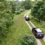 Torna il lupo ad Alessandria ma in 4 mesi 6 sono stati avvelenati: allarme dei carabinieri