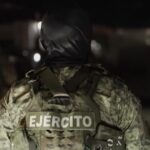 Messico, troppa violenza bande a Culiacan: tigri, leoni ed elefanti portati via da rifugio