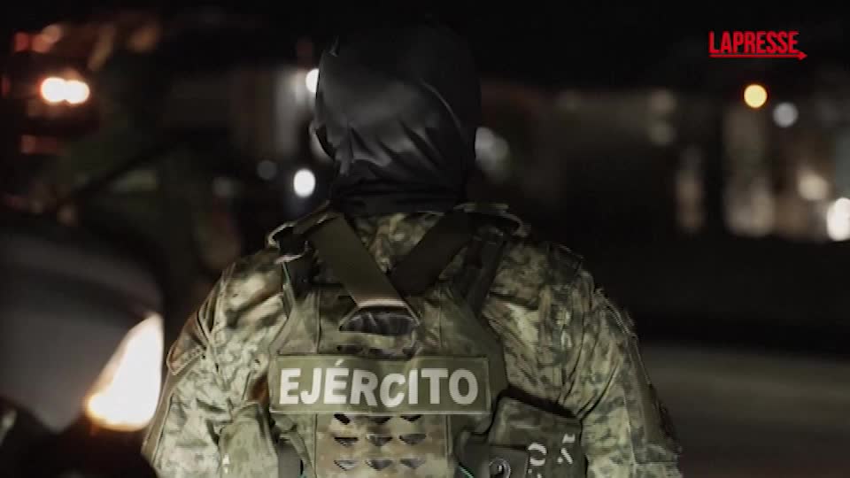 messico troppa violenza bande a culiacan tigri leoni ed elefanti portati via da rifugio