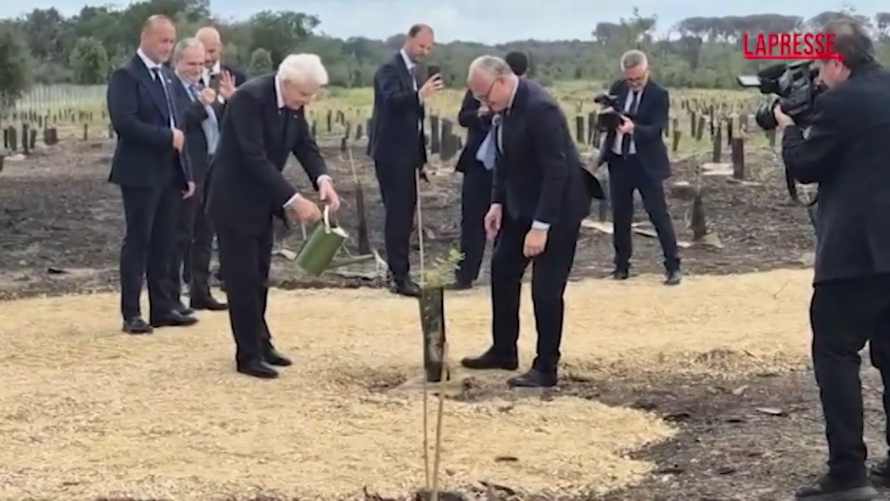 mattarella si improvvisa giardiniere annaffia una piantina a castelporziano