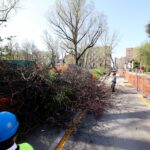 Parma, ritrovato un feto in strada vicino a parco