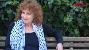 Gaza, Mannoia e Foglietta: “La chiamano guerra, ma è eccidio di civili”