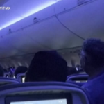 L’aereo è pronto al decollo ma dentro c’è un piccione che vola tra i passeggeri