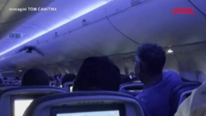 L’aereo è pronto al decollo ma dentro c’è un piccione che vola tra i passeggeri