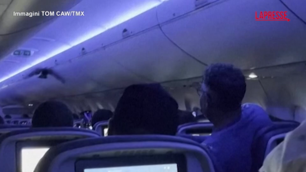 l aereo è pronto al decollo ma dentro c è un piccione che vola tra i passeggeri da Lapresse.it l aereo è pronto al decollo ma dentro c è un piccione che vola tra i passeggeri