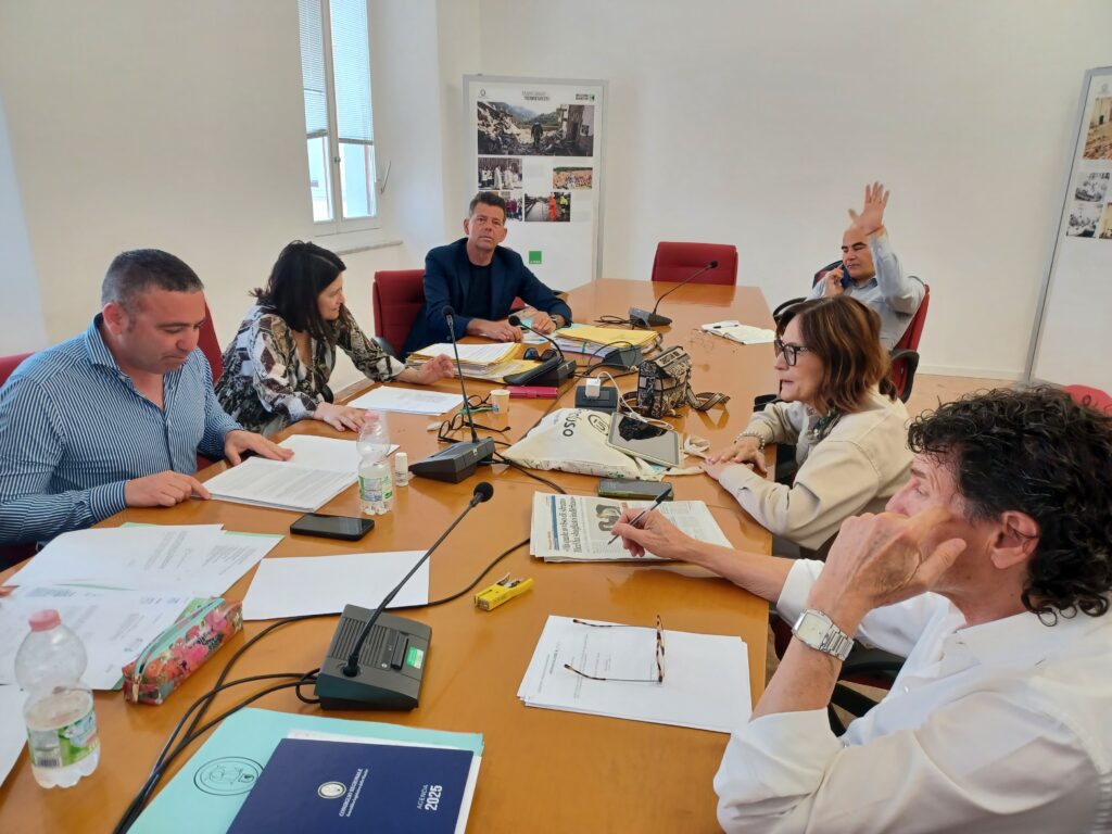 marche commissione sanit224 da via libera alla creazione della consulta