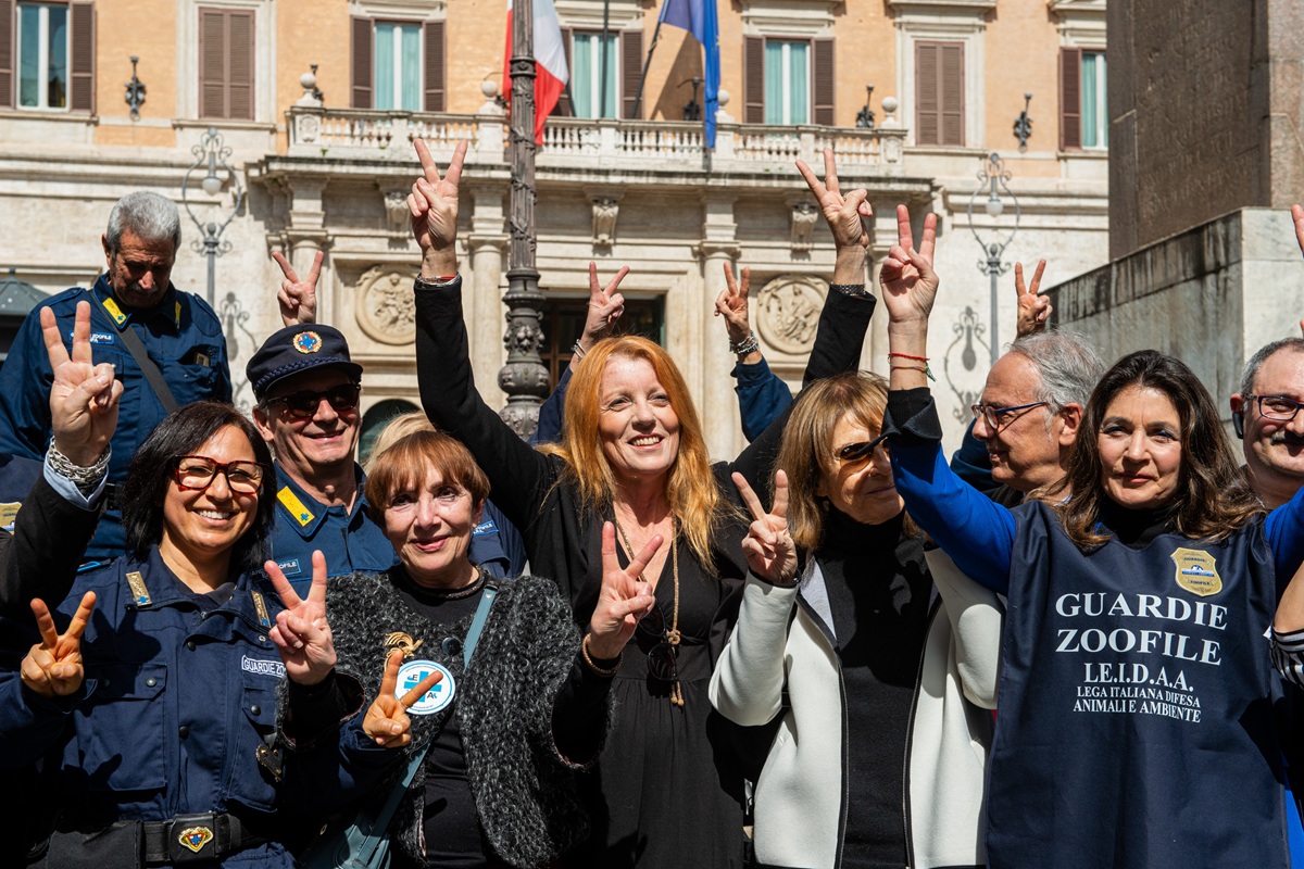 Animali, ok dal Senato: norme più severe contro chi li maltratta, ecco come aumentano le pene Animali, ok dal Senato: norme più severe contro chi li maltratta, ecco come aumentano le pene