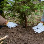 Progetti per ambiente, territorio, ecosistemi, le campagne di responsabilità sociale di AzzeroCO2
