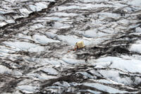 Alaska Glacier Remains