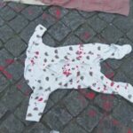 A Lisbona un’installazione artistica ricorda i bambini morti a Gaza