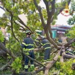 Venezia, crolla albero in piazzale Roma: 10 feriti