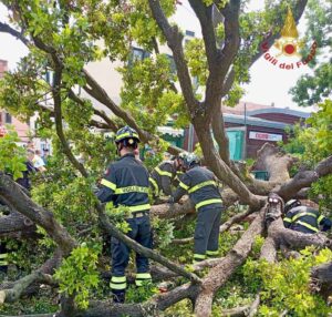 Vigili del fuoco in azione a Venezia, dove un albero è crollato in piazzale Roma e dieci persone sono rimaste ferite