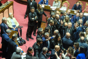 DL SICUREZZA SENATO