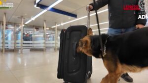 Milano, sequestro di cocaina all’aeroporto di Linate
