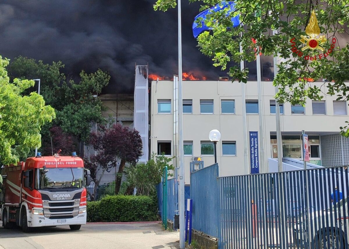 Viterbo, incendio in università: evacuata facoltà di Agraria. Comune: “Chiudete le finestre”