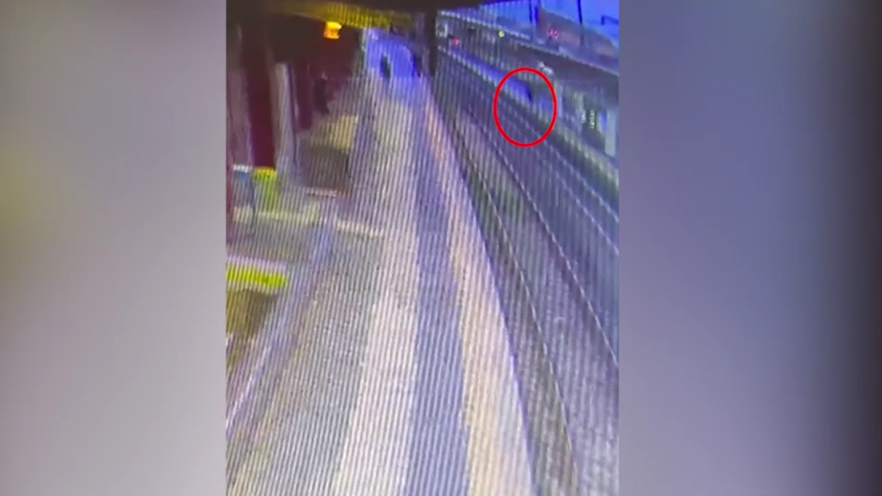 Pesaro, uomo sul binario: i poliziotti lo salvano prima dell’arrivo treno Pesaro, uomo sul binario: i poliziotti lo salvano prima dell’arrivo treno