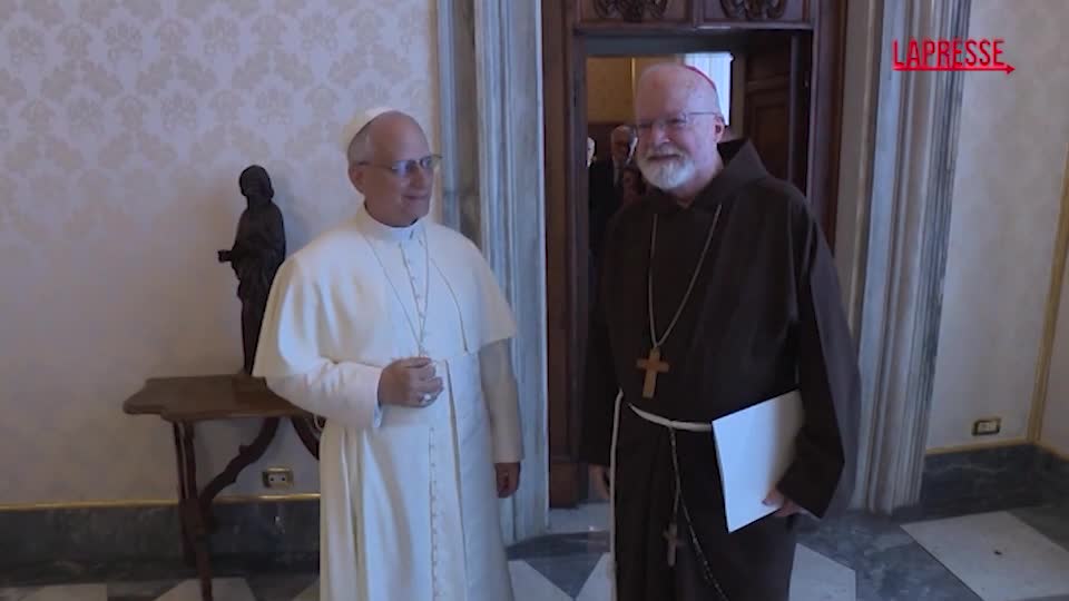 Papa Leone XIV incontra la Pontificia Commissione per la Protezione dei minori: focus su abusi in seno alla Chiesa