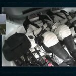 Lite Musk-Trump, a cosa serve la navicella Dragon che SpaceX vuole ‘togliere’ alla Nasa
