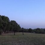 Roma, donna morta in un sacco vicino al corpo della bambina senza vita a Villa Pamphili: il luogo del ritrovamento