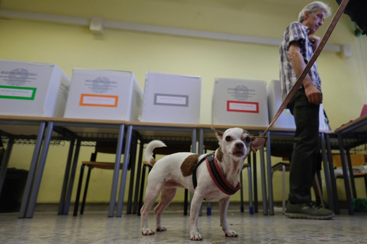 Referendum 8-9 giugno, oggi si vota per i cinque quesiti: affluenza al 7,4% alle 12