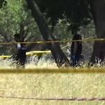 Villa Pamphili, la scientifica al lavoro: recuperato materiale oggetto di indagine