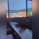 Austria, strage in una scuola a Graz: in un video l’audio degli spari