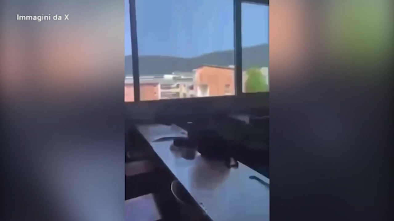 Austria, strage in una scuola a Graz: in un video l’audio degli spari