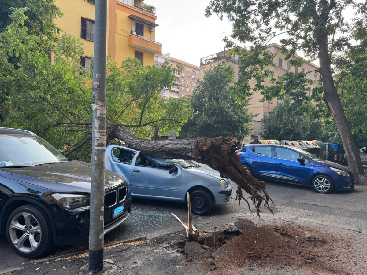 Roma, albero cade sulla Circonvallazione Appia: distrutta un’auto