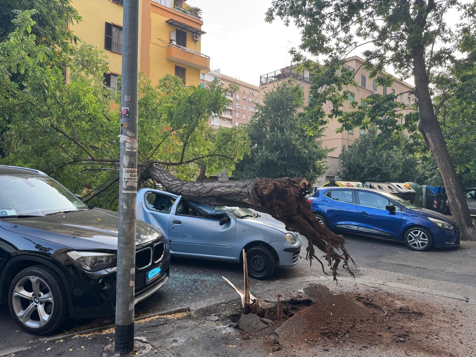 Roma, albero cade sulla Circonvallazione Appia: distrutta un’auto Roma, albero cade sulla Circonvallazione Appia: distrutta un’auto