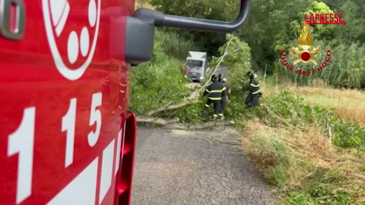 Meteo: 80 interventi per il maltempo nelle Marche Meteo: 80 interventi per il maltempo nelle Marche