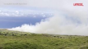 Hawaii, incendio sull’isola di Maui: evacuate almeno 50 persone