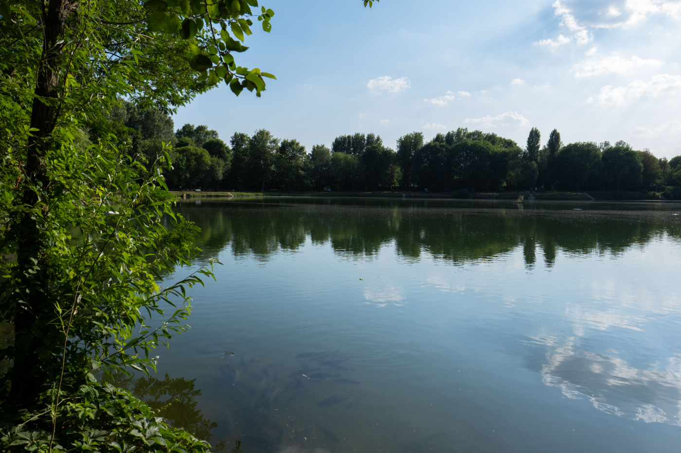 milano recuperato il corpo di un uomo nel parco delle cave