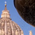 Tg Green 19 giugno, progetto sostenibile per la Basilica di San Pietro
