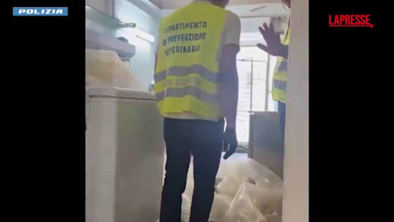 Catania, blatte in dispensa e lavoratori in nero: chiuso un ristorante Catania, blatte in dispensa e lavoratori in nero: chiuso un ristorante