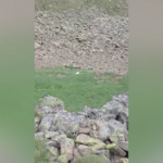 Trentino, aliante precipita a Cima Bocche: 2 morti