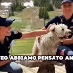 Cani abbandonati, lo spot della Polizia per l’estate 2025