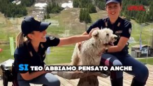 Cani abbandonati, lo spot della Polizia per l’estate 2025