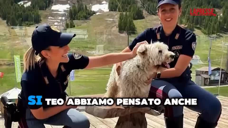 Cani abbandonati, lo spot della Polizia per l’estate 2025 Cani abbandonati, lo spot della Polizia per l’estate 2025