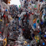 Tg Green 26 giugno – Italia superstar del riciclo, al 77% per gli imballaggi